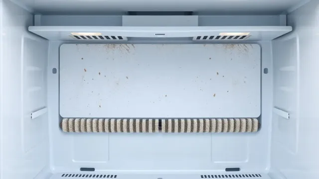 Como Limpar a Parte de Trás da Geladeira: Guia Completo para Economizar Energia e Evitar Quebras